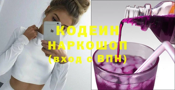 сатива Арсеньев