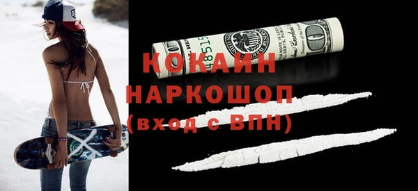 сатива Арсеньев