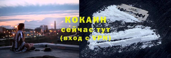 PSILOCYBIN Армянск